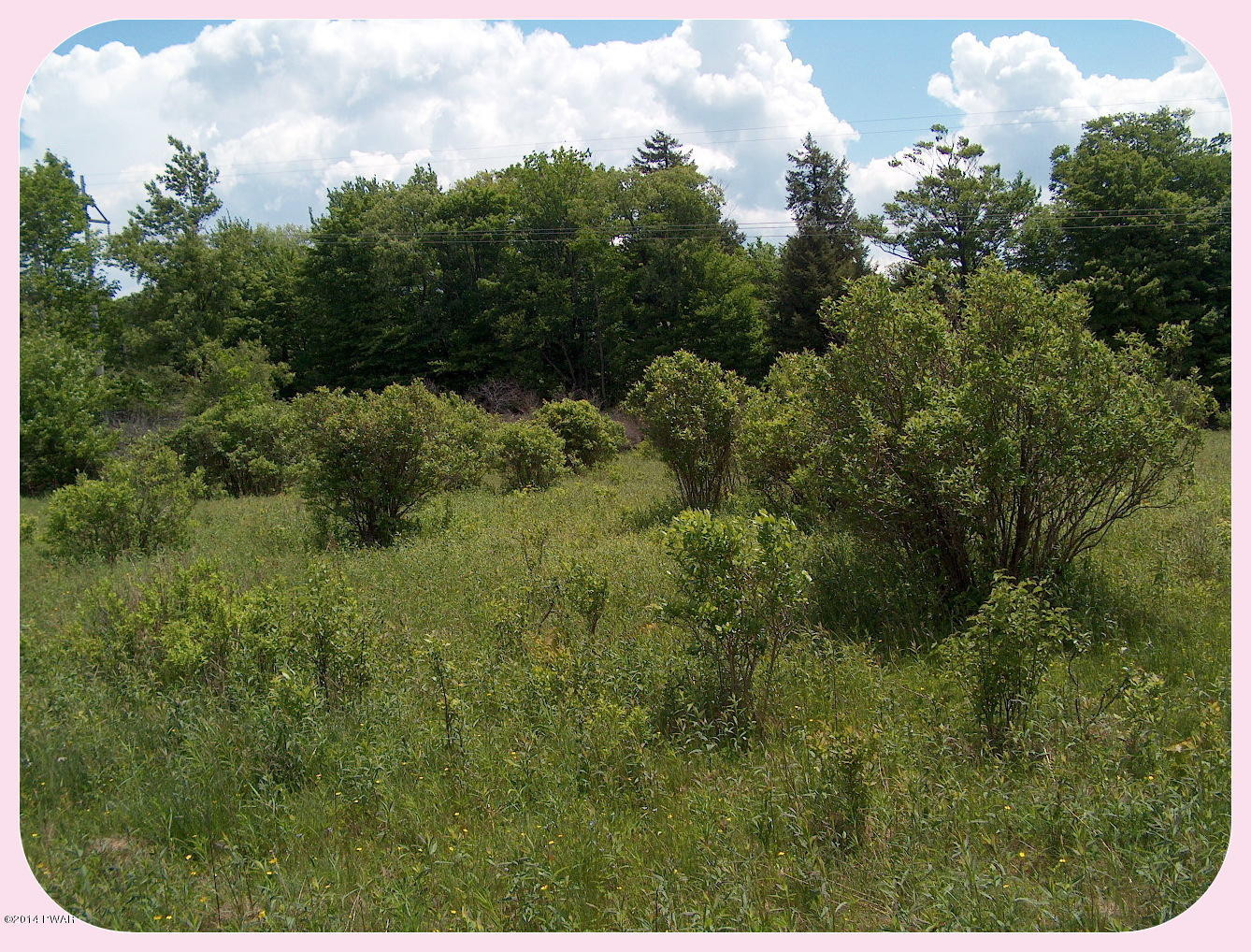 193 South Turnpike Road Newfoundland, PA 18445 - Photo 41 of 48
