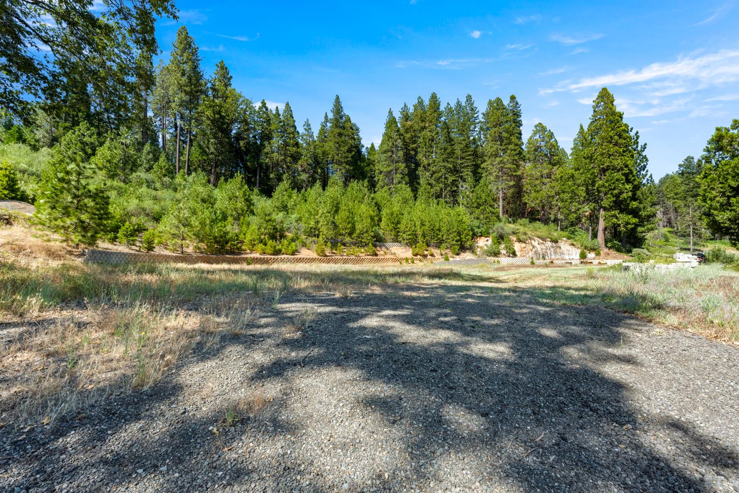 1237 Cable Road Camino, CA 95709 - Photo 17 of 87