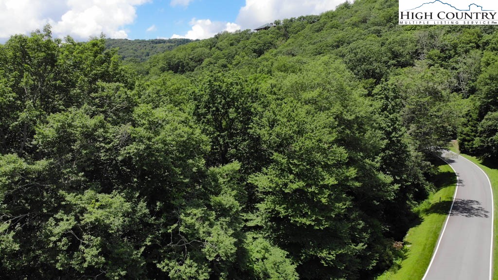 1715 Forest Ridge Drive, Unit 17 Linville, NC 28646 - Photo 5 of 6 a view of a lush green forest