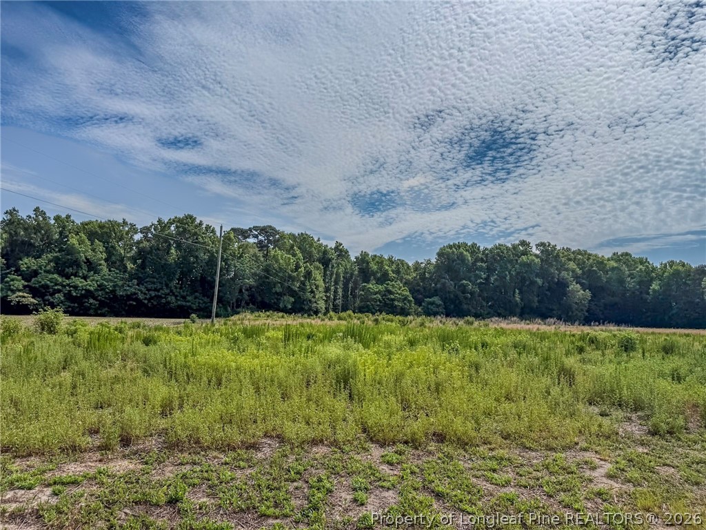 63 Newton Road Red Springs, NC 28377 - Photo 3 of 19