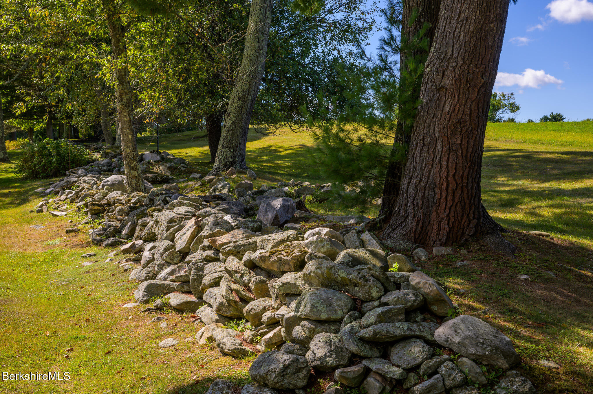 415 Brewer Branch Road New Marlborough, MA 01259 - Photo 56 of 65 a view of a garden with a tree