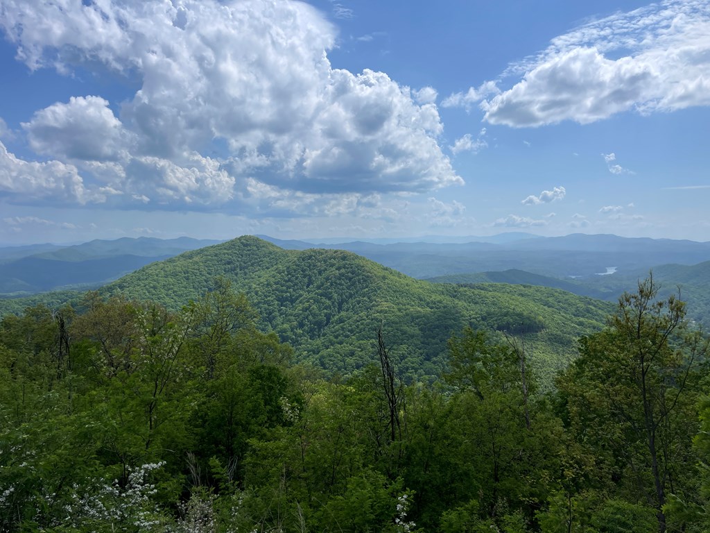 0 Burrell Mountain Road Murphy, NC 28906 - Photo 3 of 5