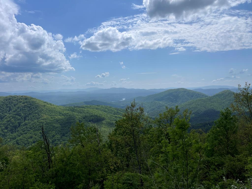 0 Burrell Mountain Road Murphy, NC 28906 - Photo 5 of 5