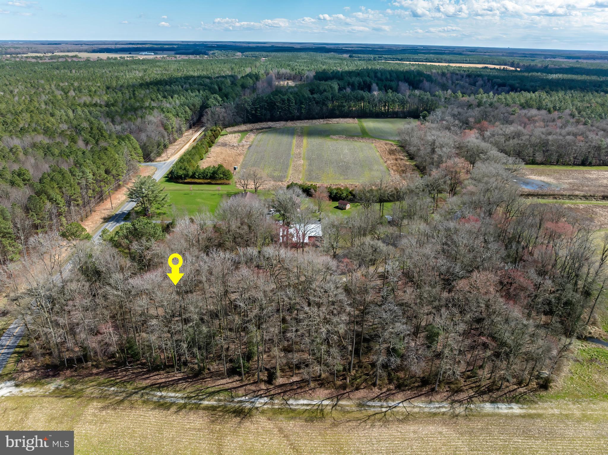 27515 Anthony Mill Road Denton, MD 21629 - Photo 14 of 15 Refer to plat for property size and location