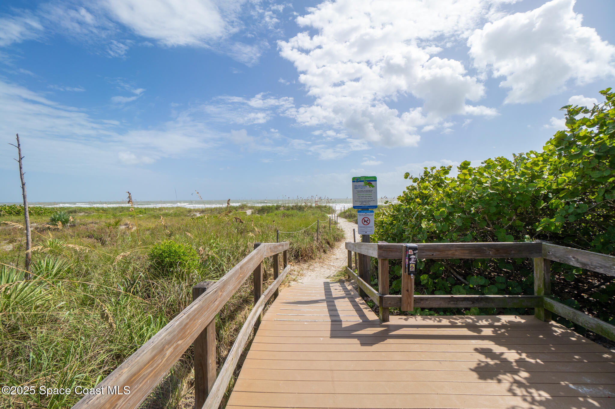 8156 Ridgewood Avenue Cape Canaveral, FL 32920 - Photo 39 of 53 a view of a swimming pool with a patio