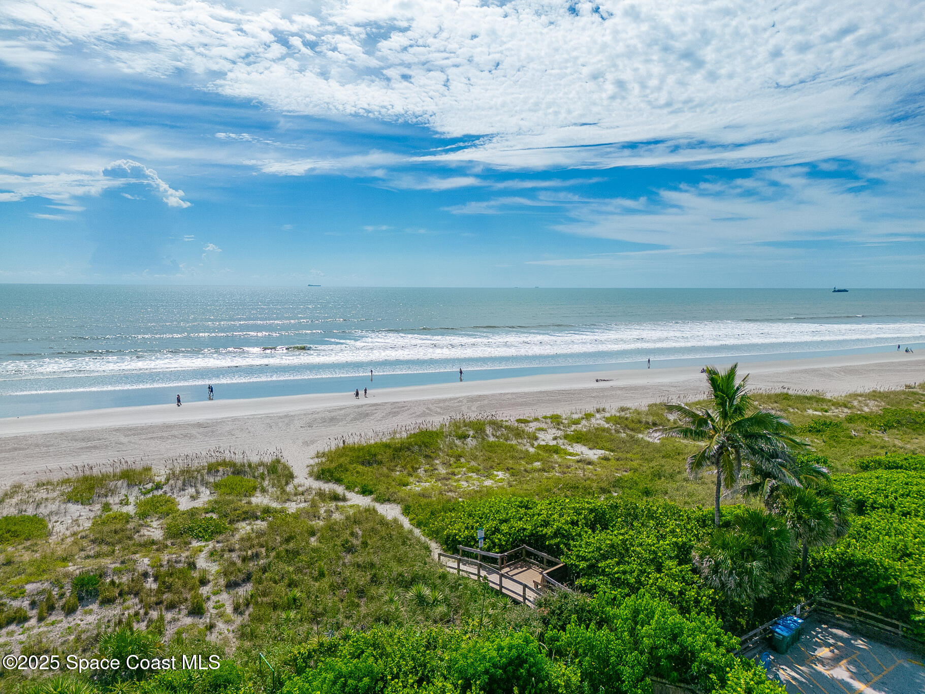 8156 Ridgewood Avenue Cape Canaveral, FL 32920 - Photo 49 of 53 a view of a garden