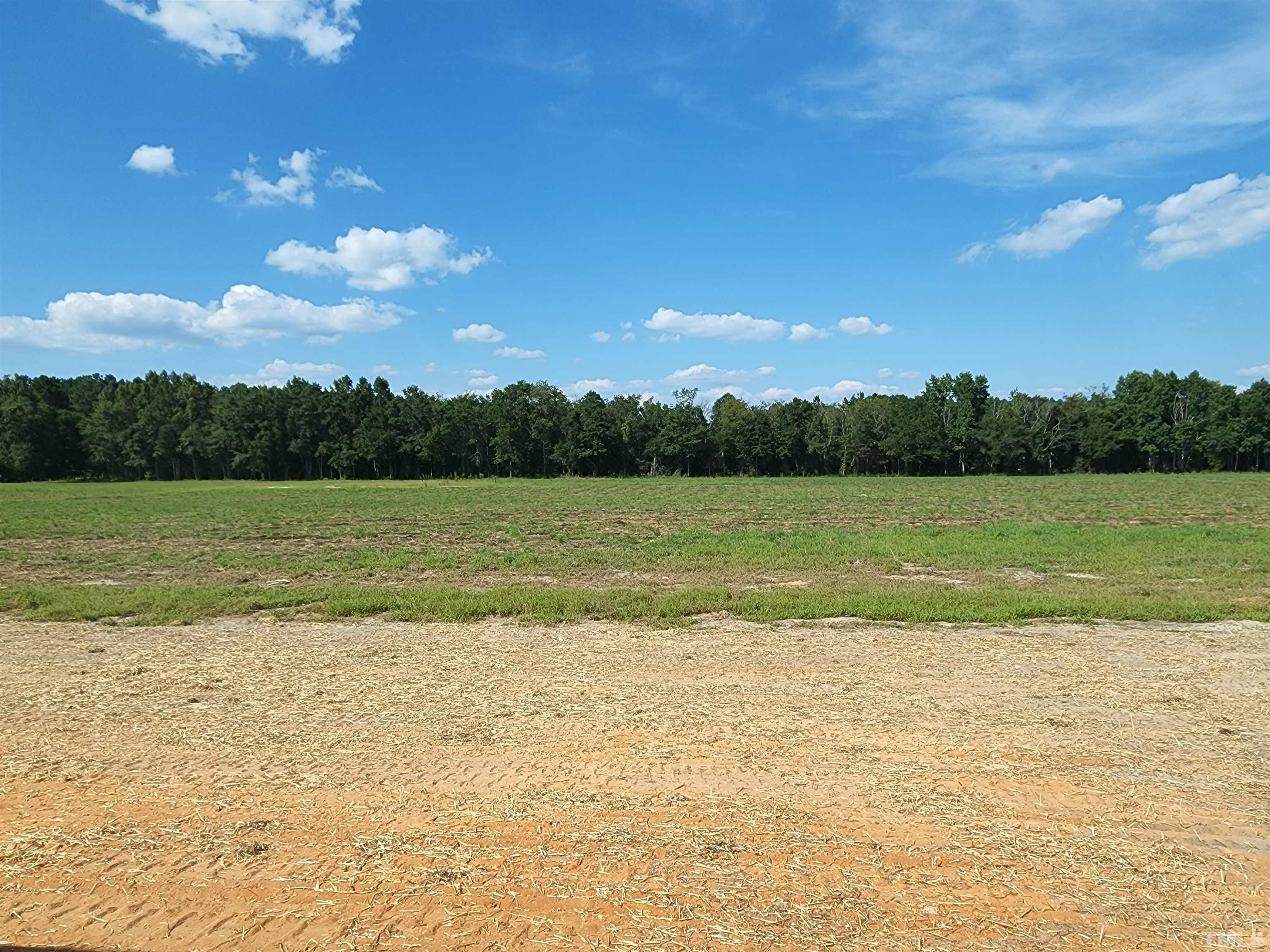 2068 Josey Williams Road Erwin, NC 28339 - Photo 4 of 33 Gallery Image 4