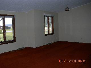 9103 West Albain Road Ida, MI 48140 - Photo 5 of 10 LIVING ROOM