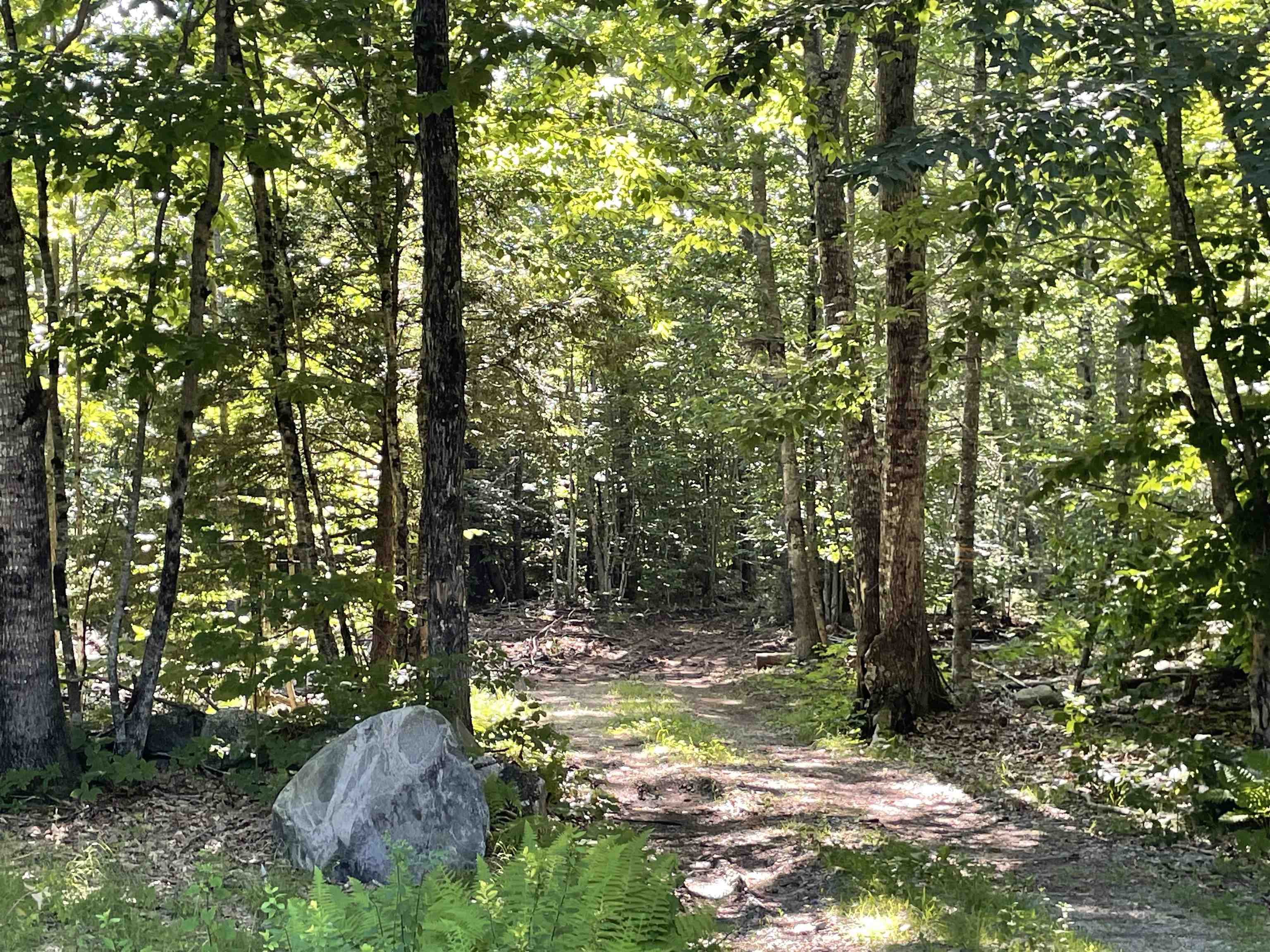 22 Mt Israel Road Sandwich, NH 03227 - Photo 1 of 6 Gallery Image 1