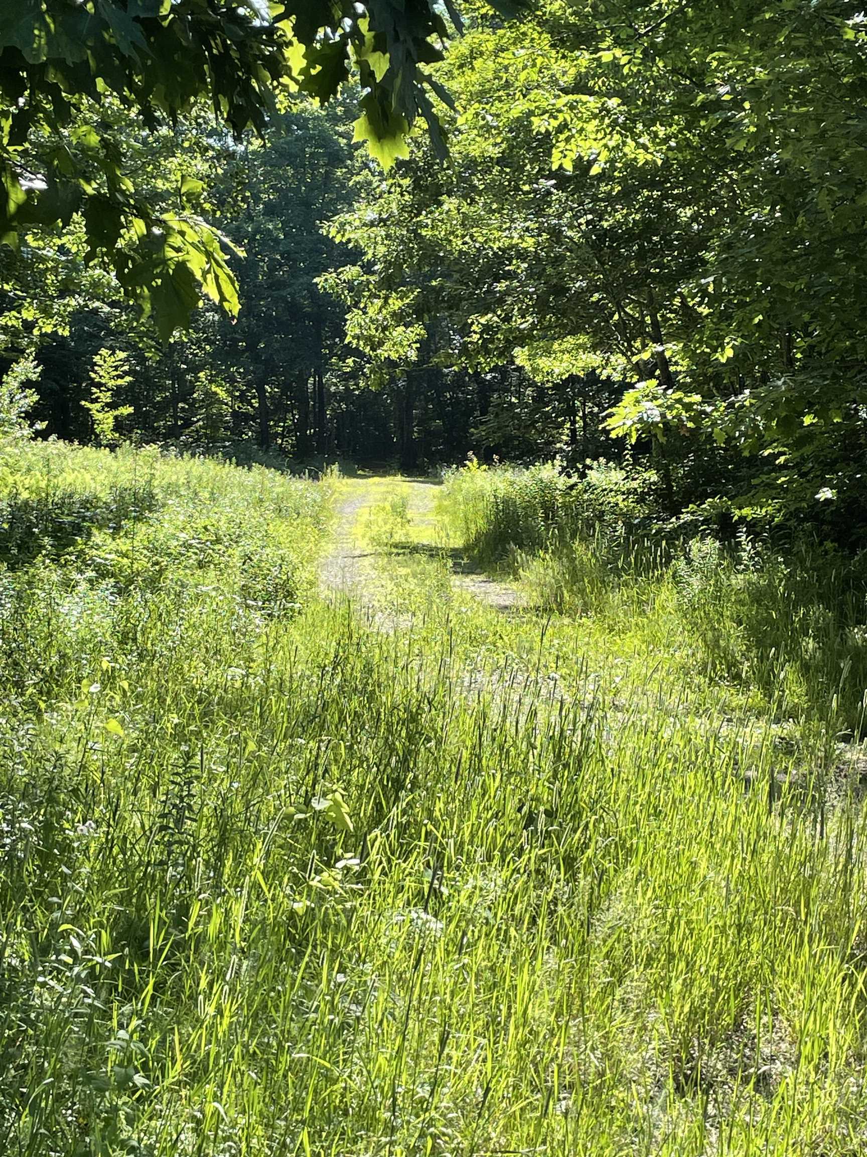 22 Mt Israel Road Sandwich, NH 03227 - Photo 3 of 6 Gallery Image 3