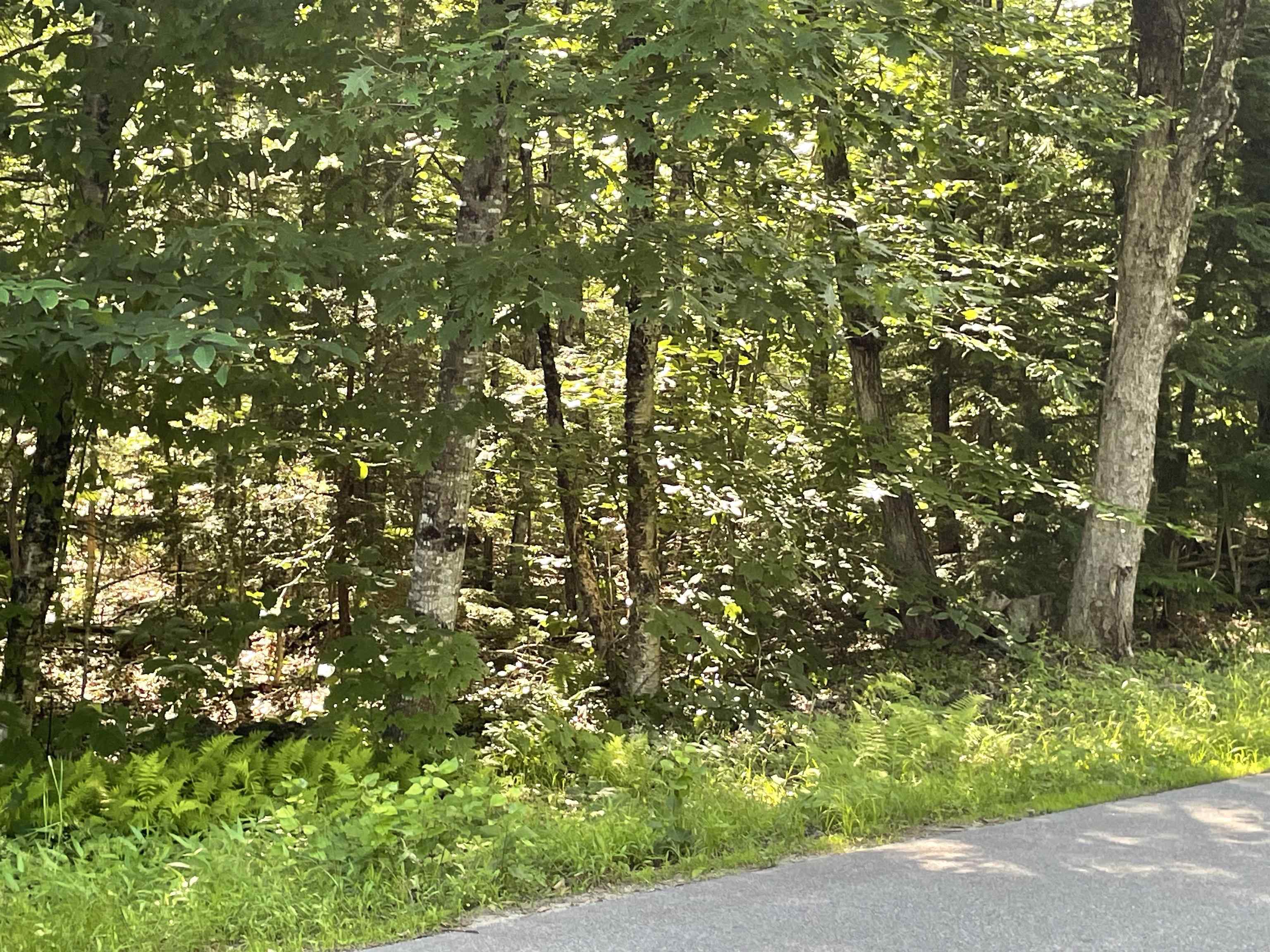 22 Mt Israel Road Sandwich, NH 03227 - Photo 4 of 6 Gallery Image 4