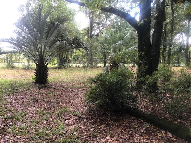 4653 River Road Live Oak, FL 32060 - Photo 14 of 21 lo 14
