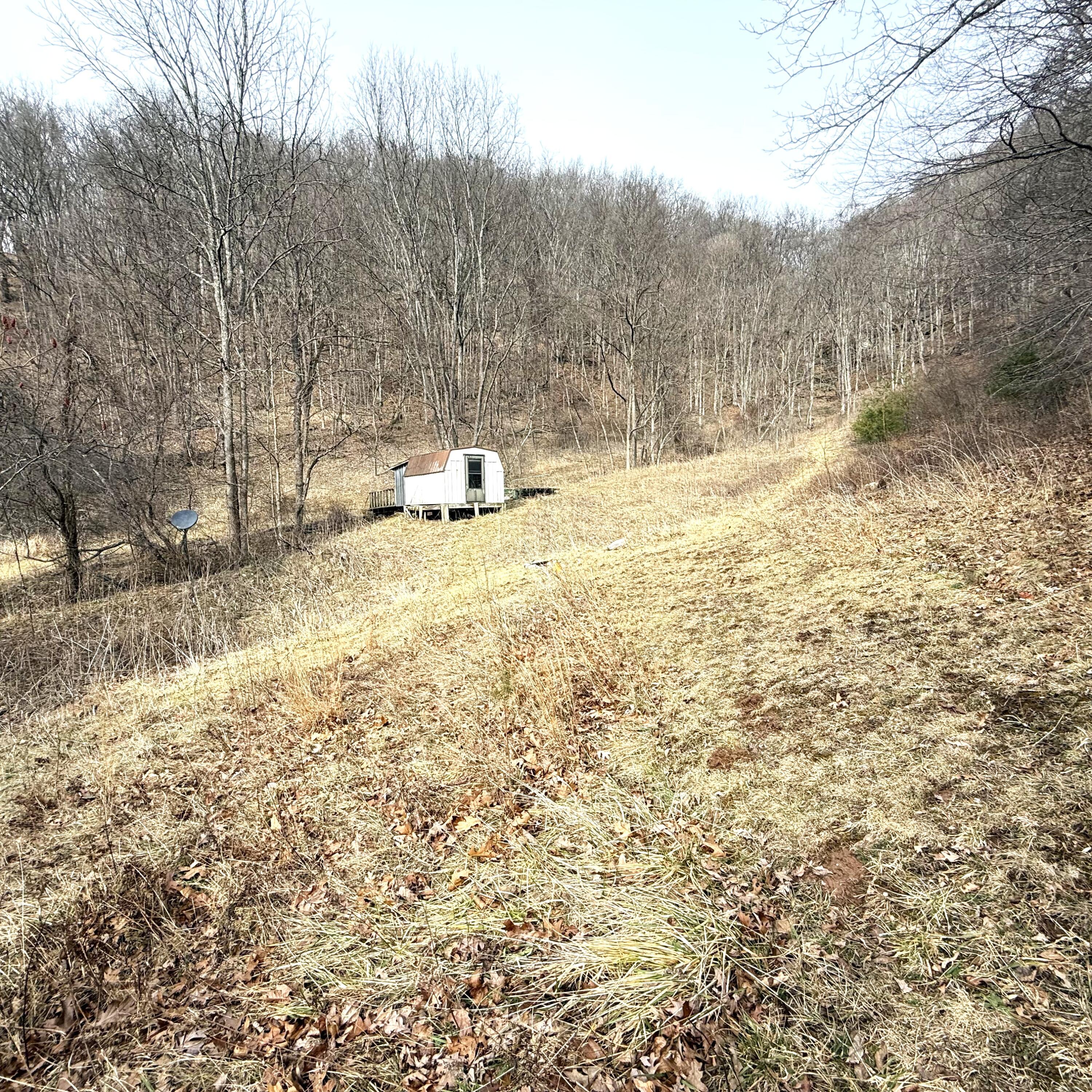 3259 Julia Road Renick, WV 24966 - Photo 33 of 37 IMG_7866 (002)