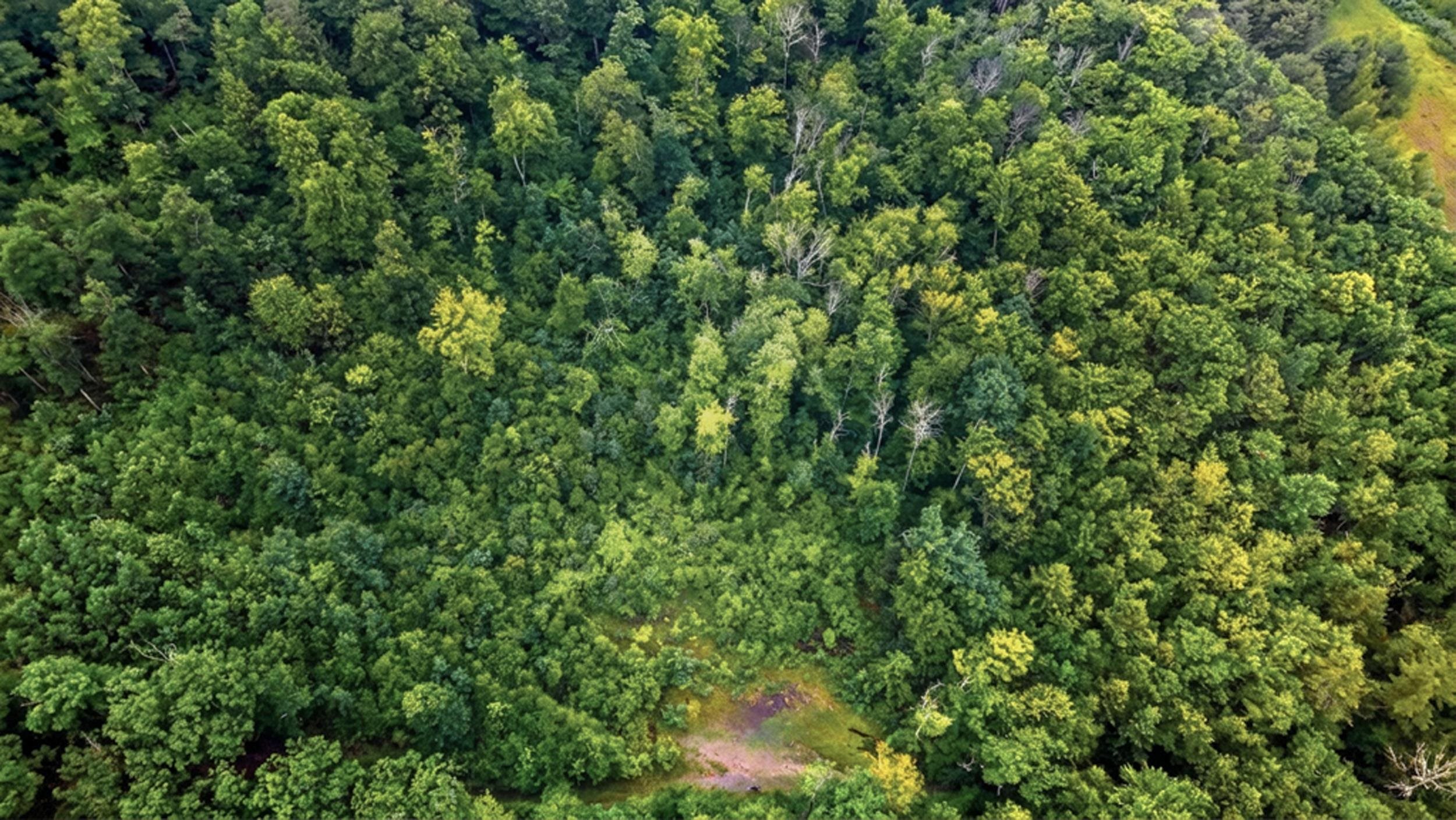 0 Hurricane Road, Unit BACKLAND Westmoreland, NH 03467 - Photo 3 of 10