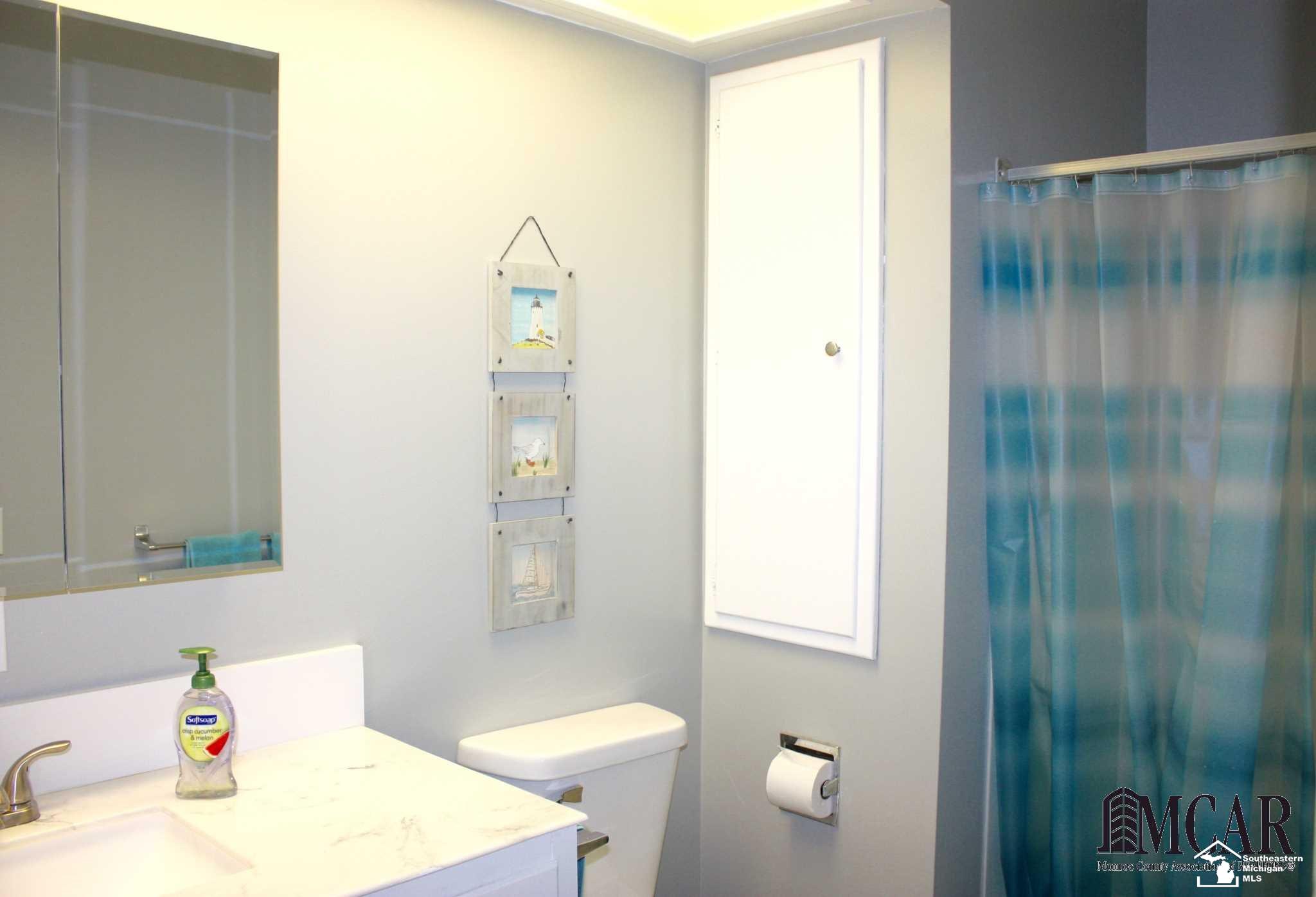 5626 Samaria Road Ottawa Lake, MI 49267 - Photo 18 of 40 Master bathroom