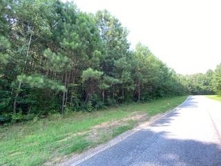 0 Austin Reynolds Road Bethlehem, GA 30620 - Photo 1 of 1 Gallery Image 1