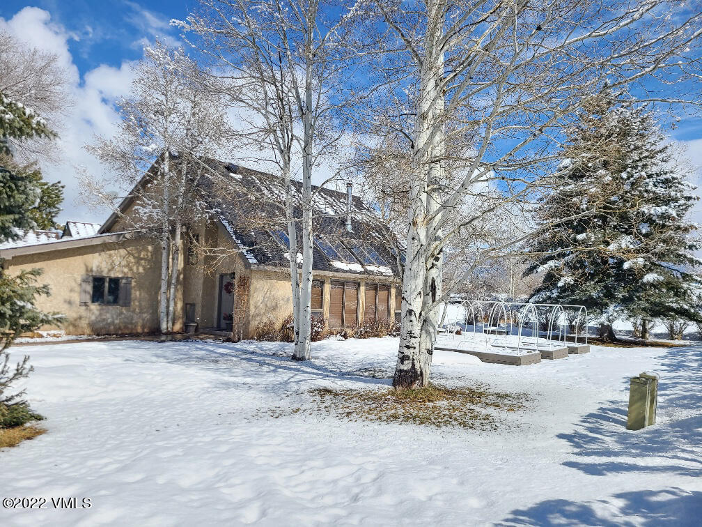 a view of road with large trees