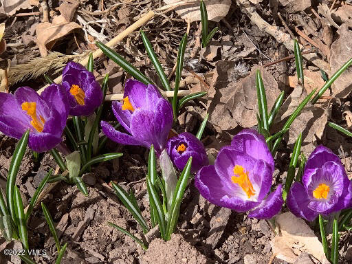 753 Bull Run Eagle, CO 81631 - Photo 18 of 30