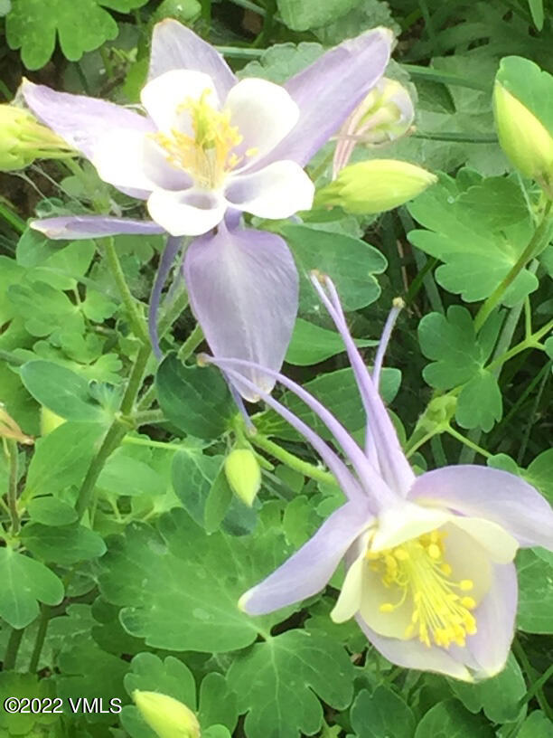 753 Bull Run Eagle, CO 81631 - Photo 19 of 30 a view of a table and chairs