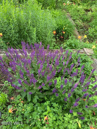 753 Bull Run Eagle, CO 81631 - Photo 21 of 30