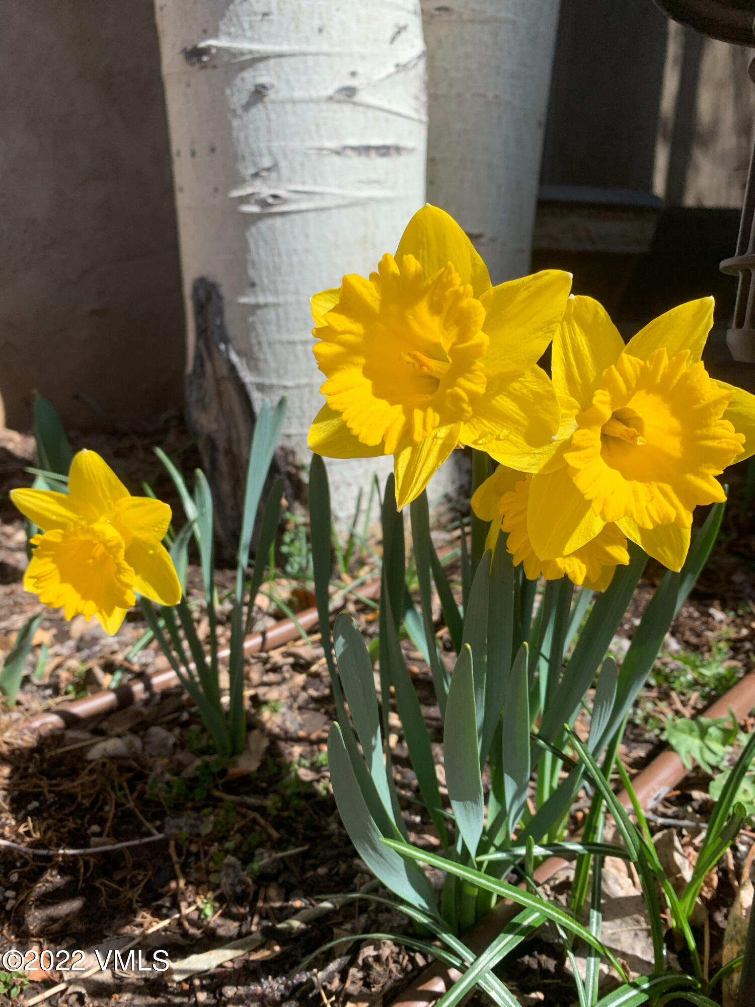 753 Bull Run Eagle, CO 81631 - Photo 24 of 30 a view of a swimming pool