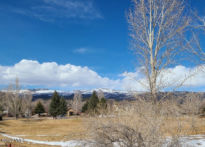 753 Bull Run Eagle, CO 81631 - Photo 29 of 30 a view of a yard with a house