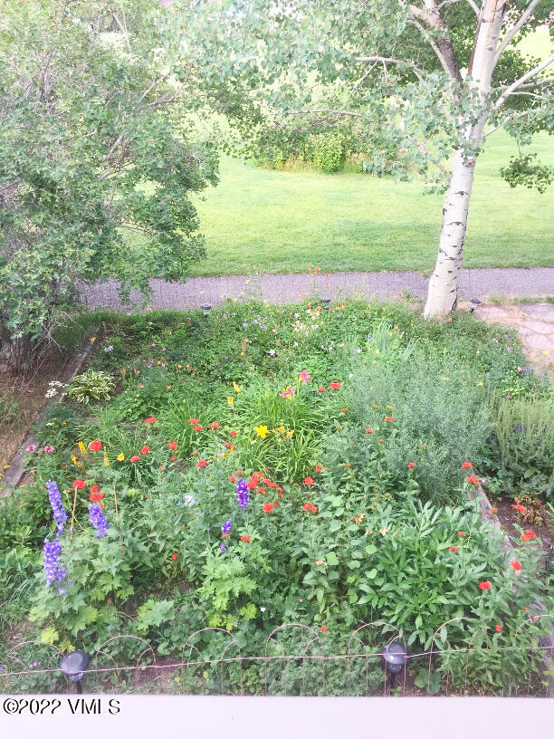 753 Bull Run Eagle, CO 81631 - Photo 3 of 30 a view of yard with tree and green space