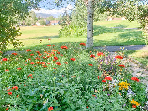 753 Bull Run Eagle, CO 81631 - Photo 5 of 30 a view of yard with flowers and trees