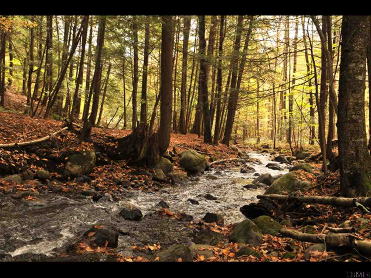 3226 Grenell Road Milton, NY 12850 - Photo 7 of 25 Photo 7