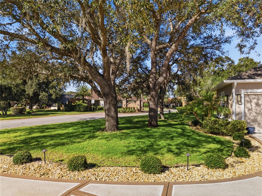 9215 Lake Cypress Loop Weeki Wachee, FL 34613 - Photo 57 of 76
