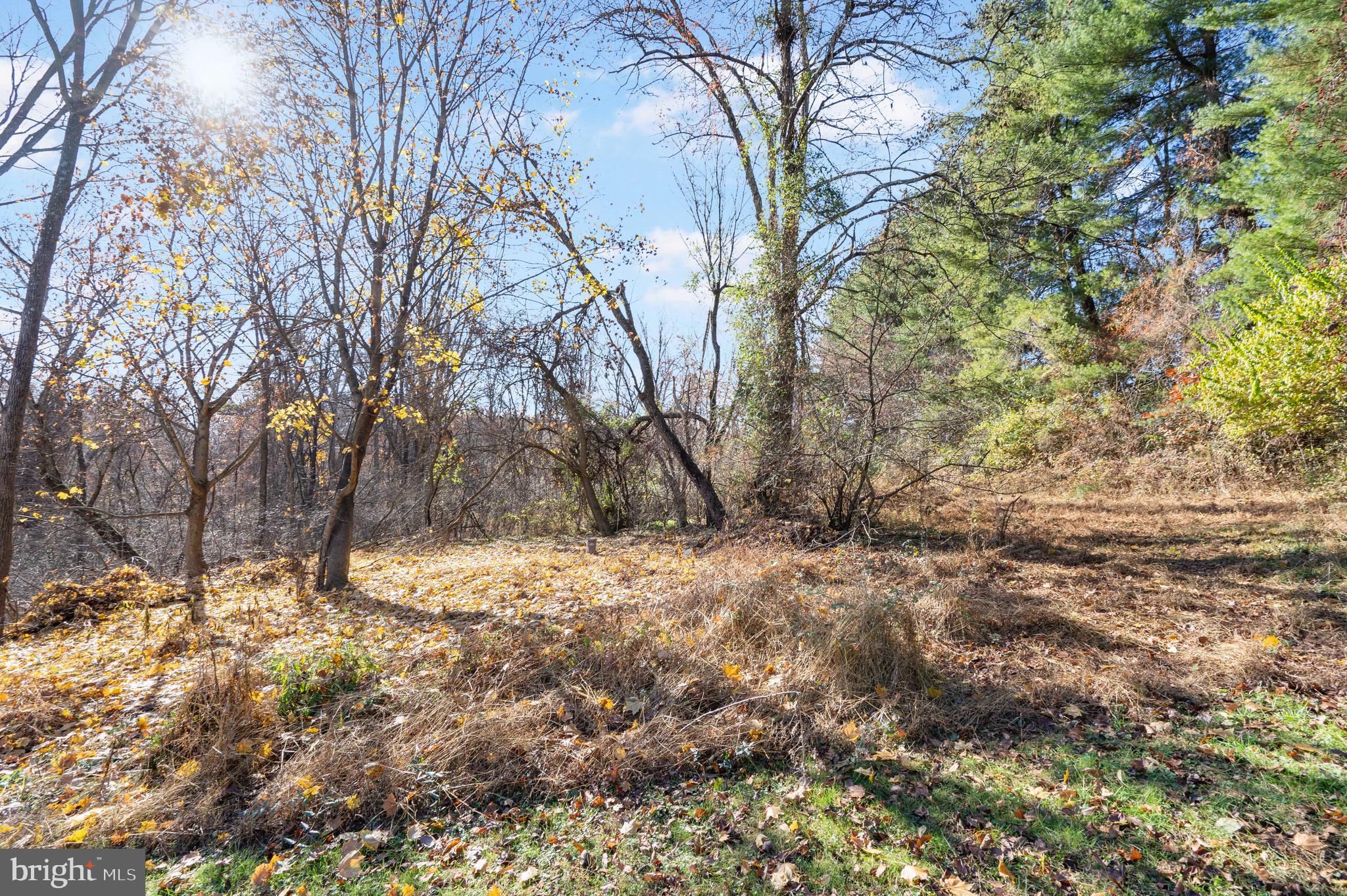 2456 Fairmount Road Hampstead, MD 21074 - Photo 27 of 27 Plenty of Land