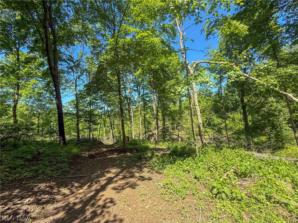 Lot 4 Altamont Road Mingo Junction, OH 43938 - Photo 8 of 27 Gallery Image 8