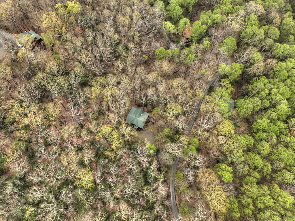 203 Chimney Rock Court Blue Ridge, GA 30513 - Photo 52 of 52 Gallery Image 52