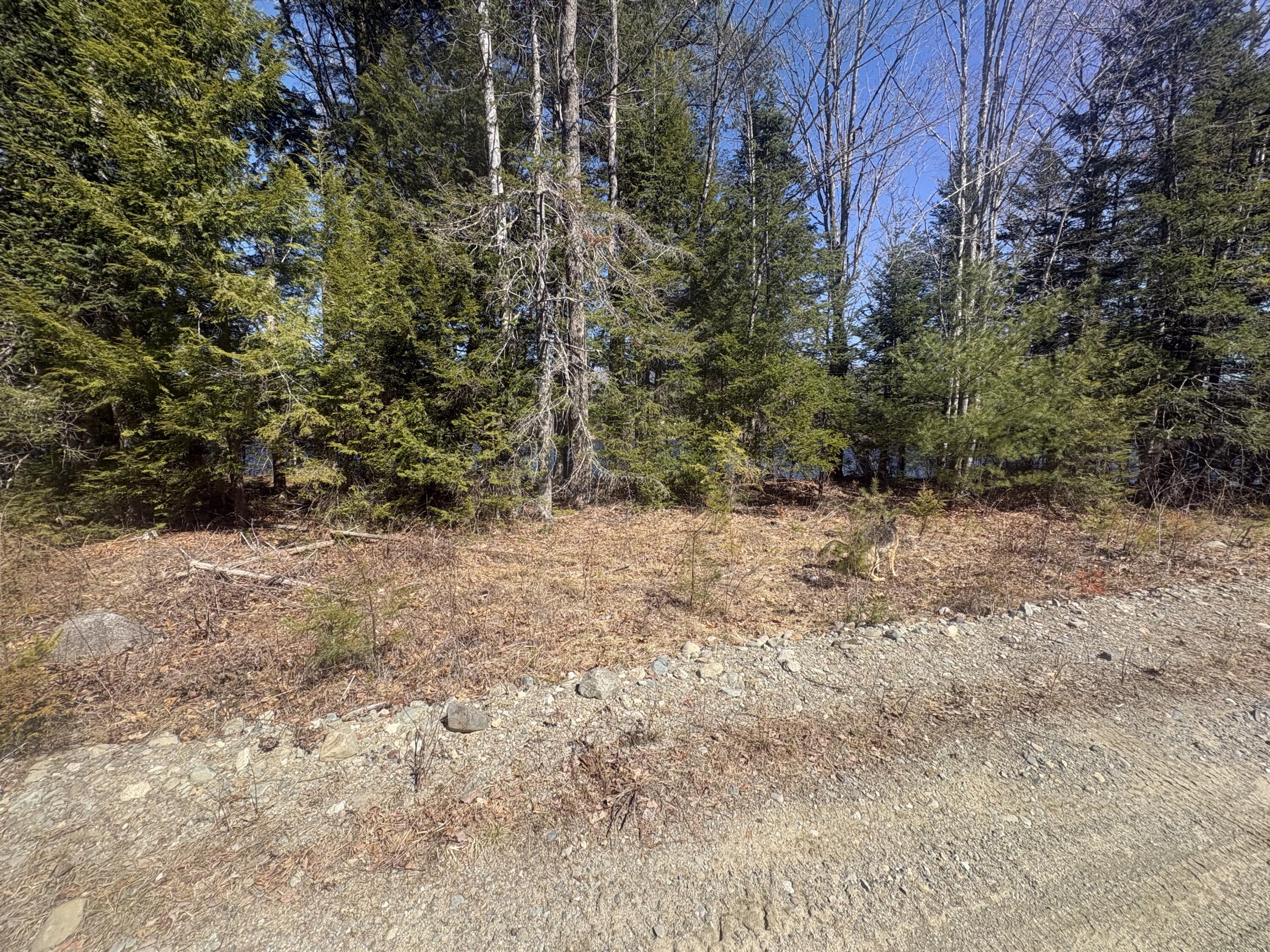 Lot 4 West Indian Road Lincoln, ME 04457 - Photo 28 of 29