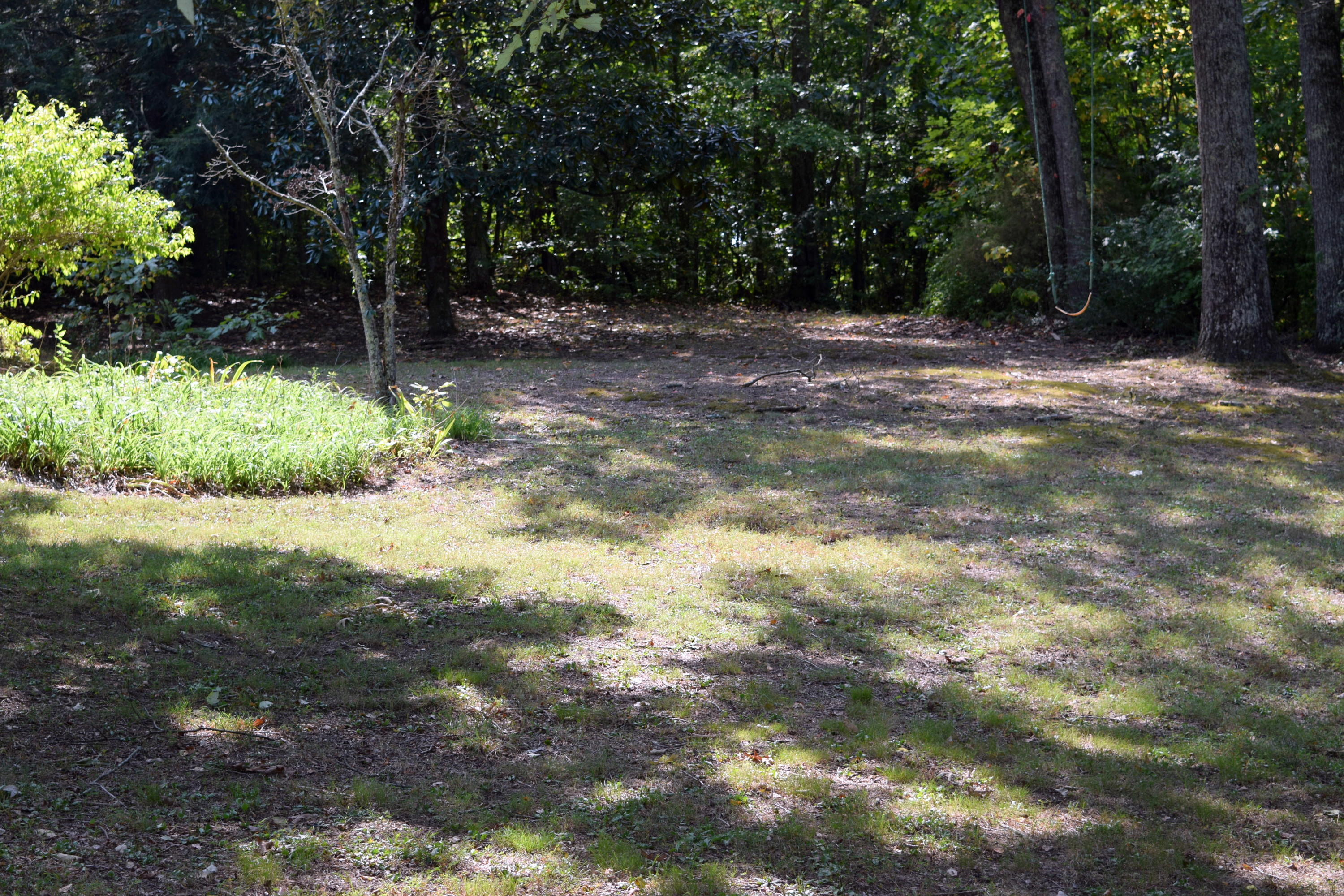2131 Old Lower River Road Northwest Charleston, TN 37310 - Photo 8 of 12 DSC_0576