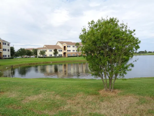 a view of a lake with a big yard and large trees