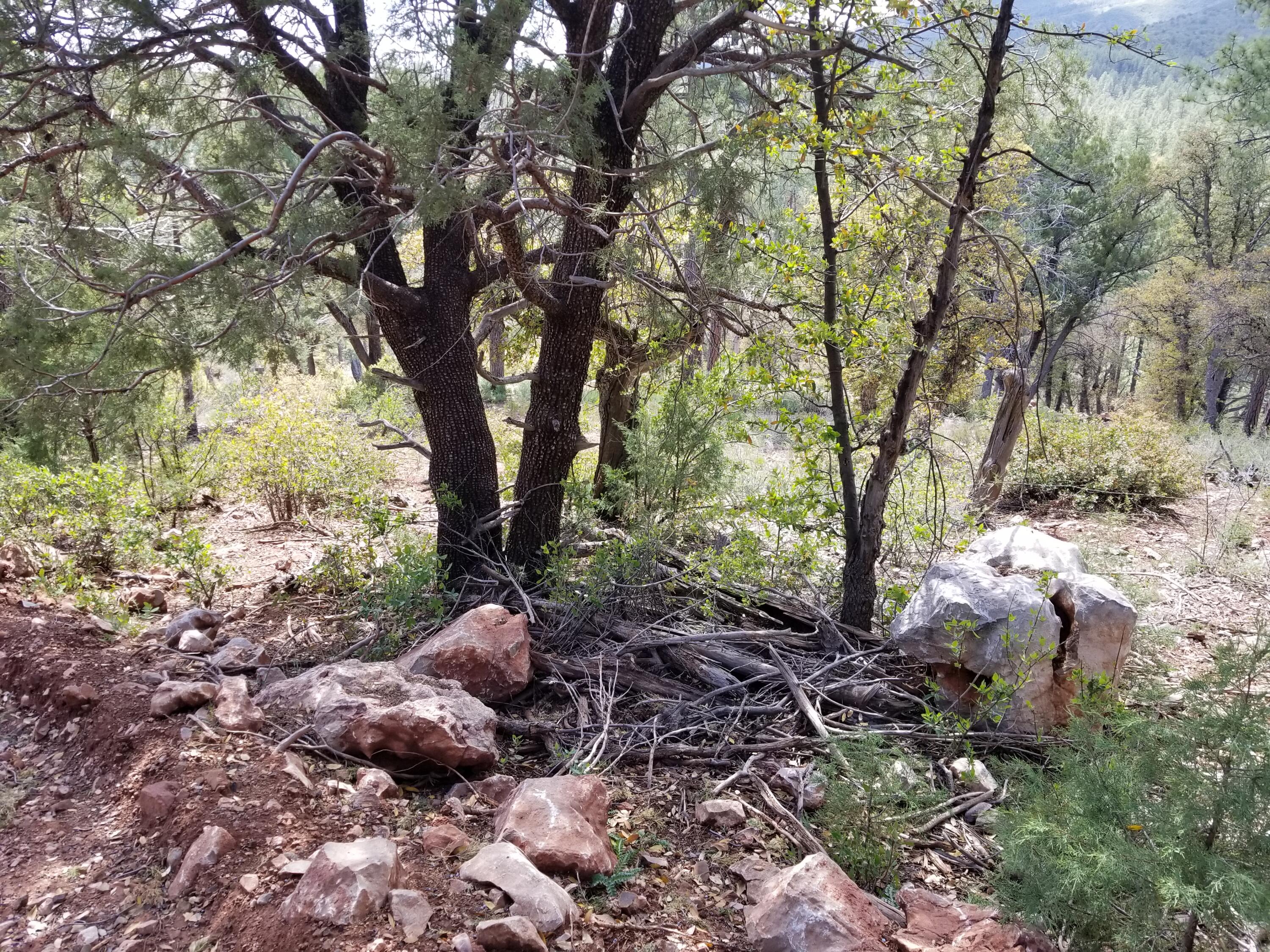 17033 Control Road Payson, AZ 85541 - Photo 11 of 28