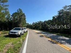 Lake Marion Creek Road Haines City, FL 33844 - Photo 2 of 4
