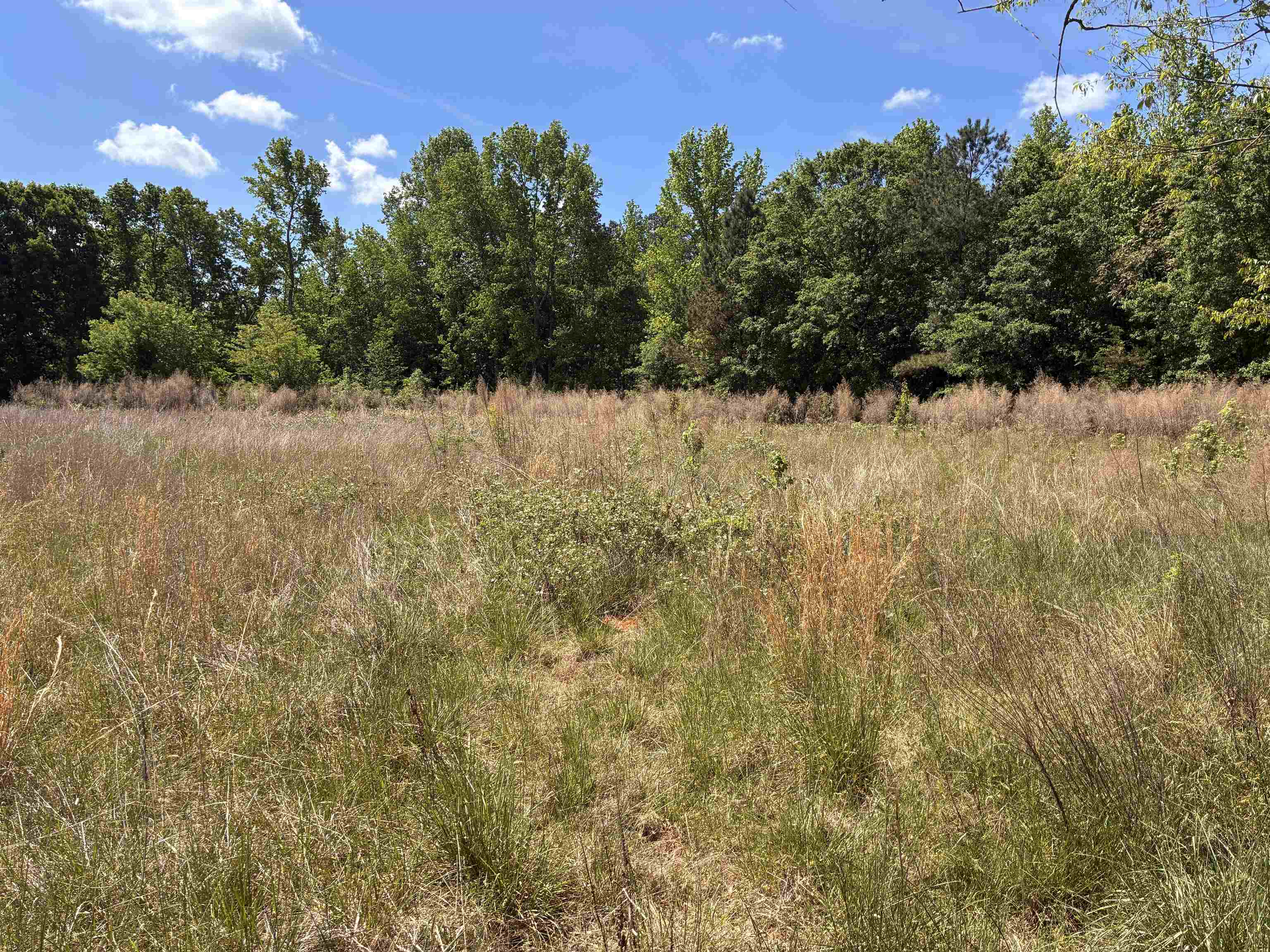 617 Potter Road Gaffney, SC 29341 - Photo 2 of 15