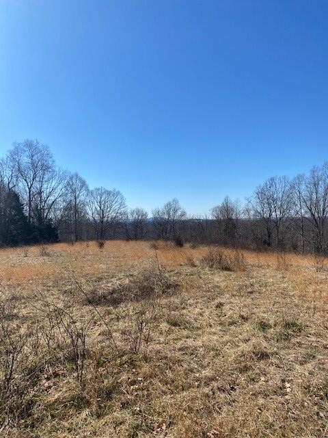 6 Reeder Town Road Byrdstown, TN 38549 - Photo 7 of 10