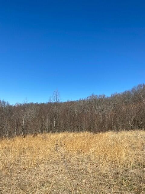 6 Reeder Town Road Byrdstown, TN 38549 - Photo 8 of 10