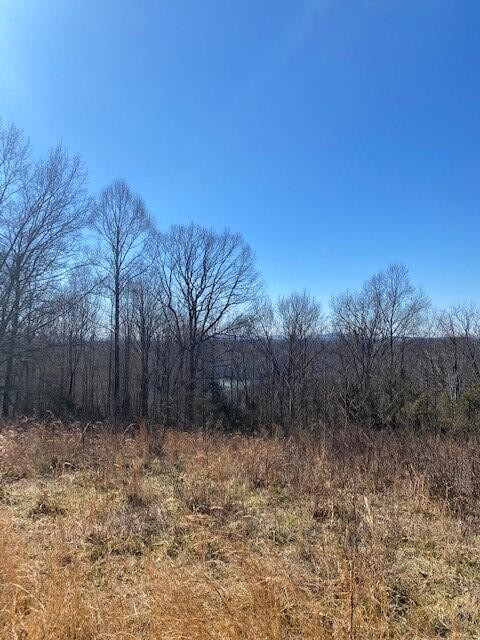 6 Reeder Town Road Byrdstown, TN 38549 - Photo 9 of 10