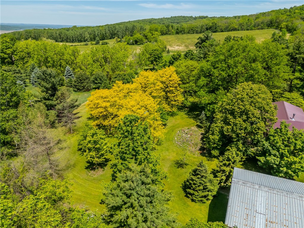 5947 Harter Road Dansville, NY 14437 - Photo 46 of 50
