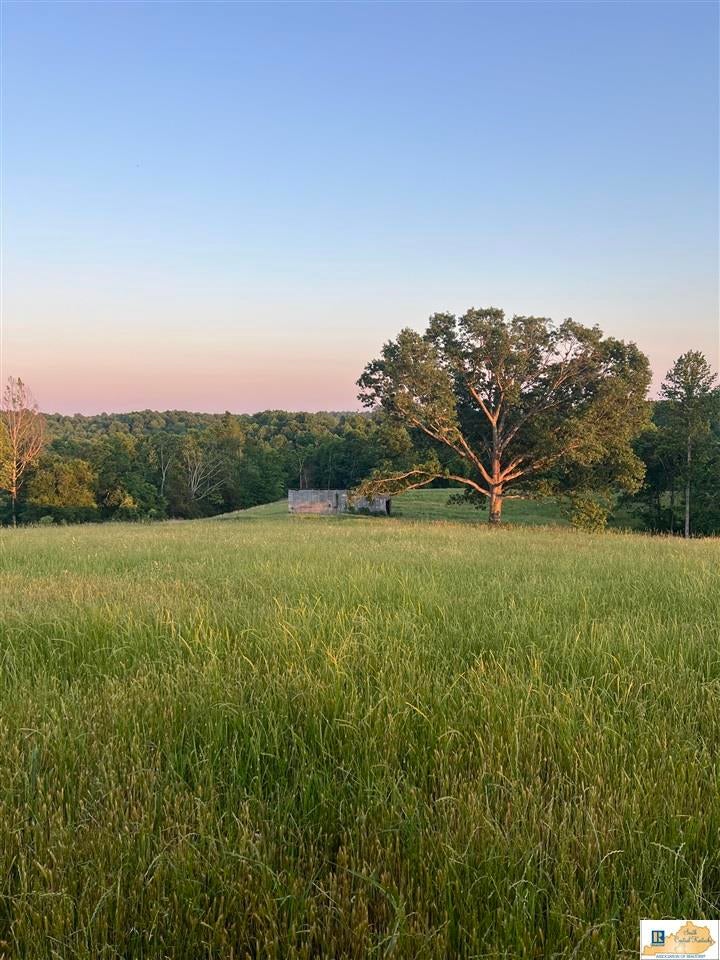 2417 Weed-Keltner Road Edmonton, KY 42129 - Photo 25 of 93 Gallery Image 25