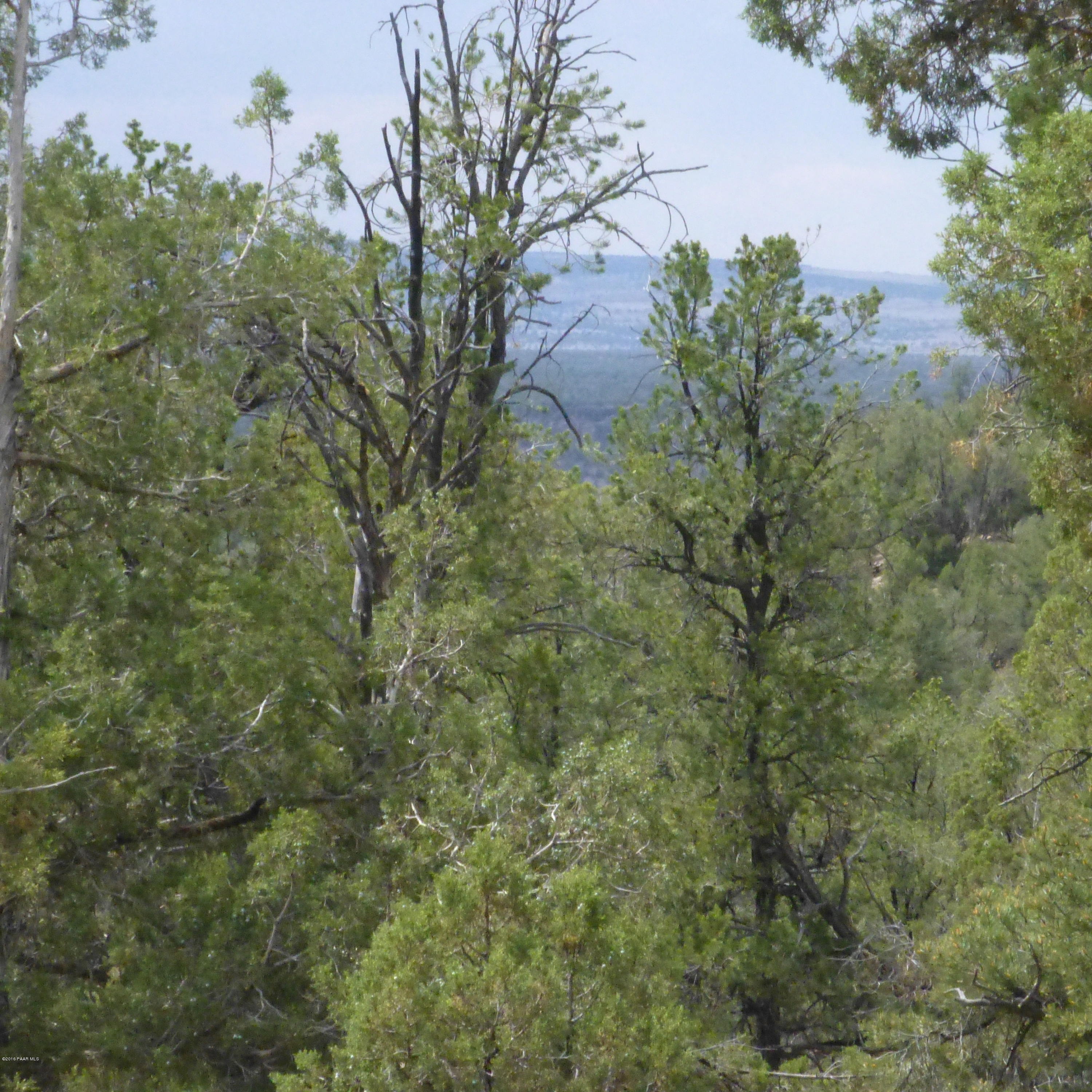 39140 Arizona Road Ash Fork, AZ 86320 - Photo 32 of 34 P1040755