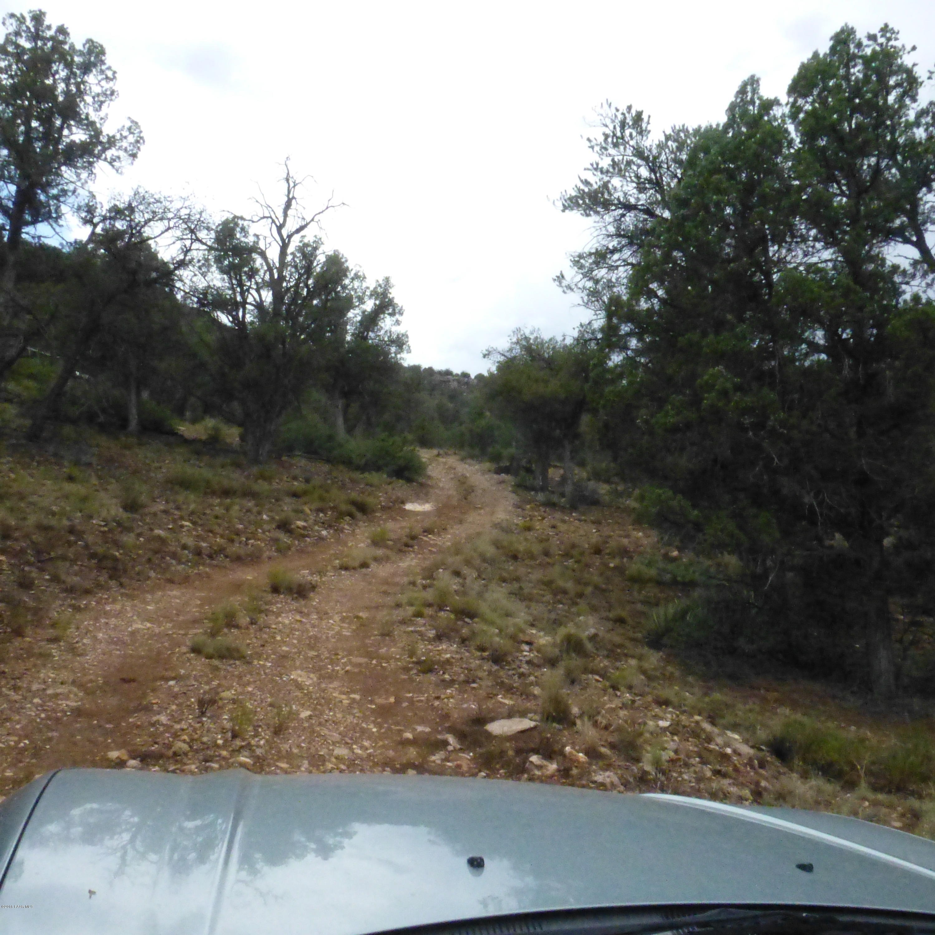 39140 Arizona Road Ash Fork, AZ 86320 - Photo 5 of 34 P1040705