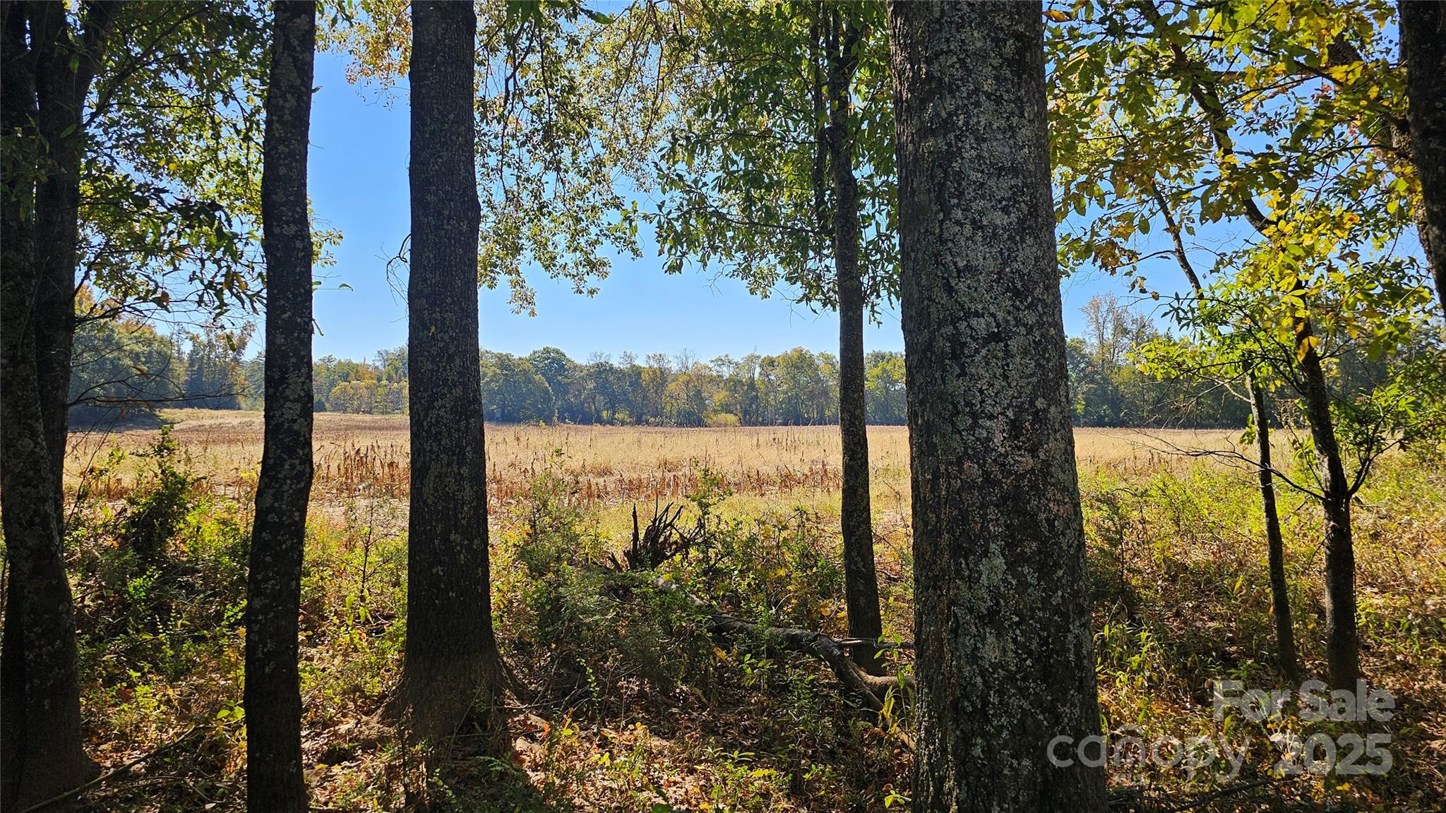 10130 Reed Mine Road Midland, NC 28107 - Photo 3 of 29
