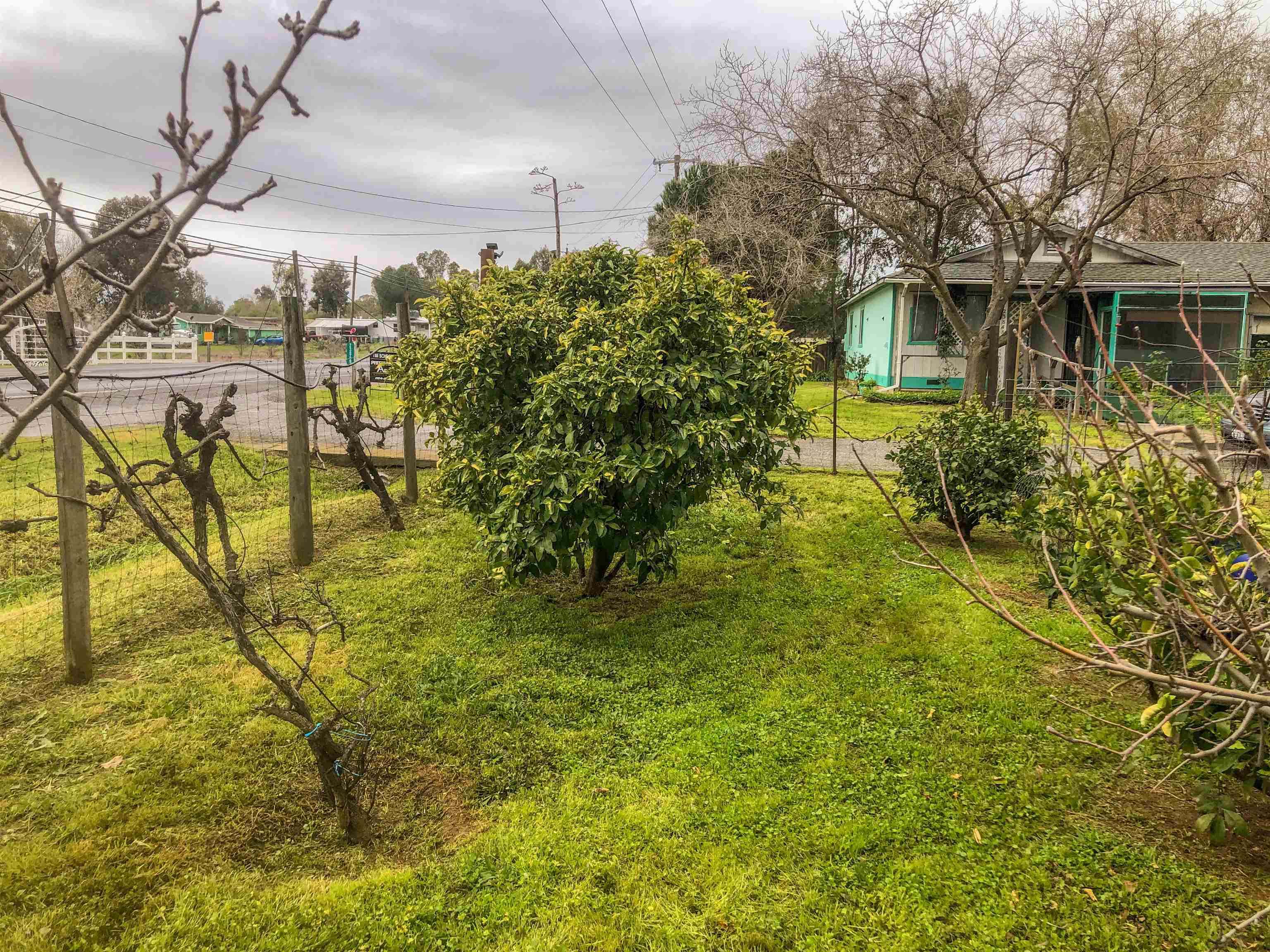 23848 Hoag Road Corning, CA 96021 - Photo 49 of 73