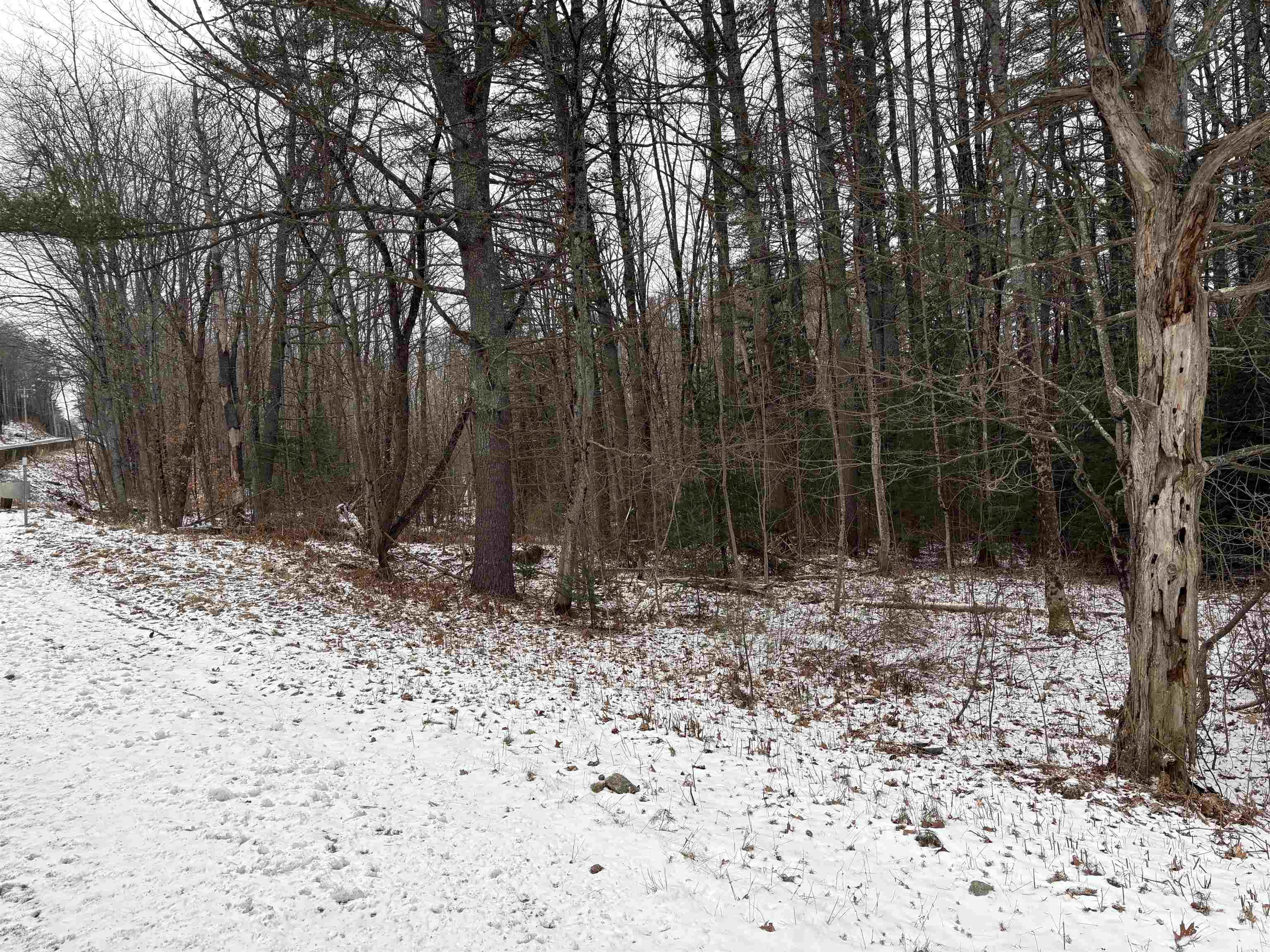 0 Keyes Hollow Road, Unit 1 Lempster, NH 03605 - Photo 5 of 14