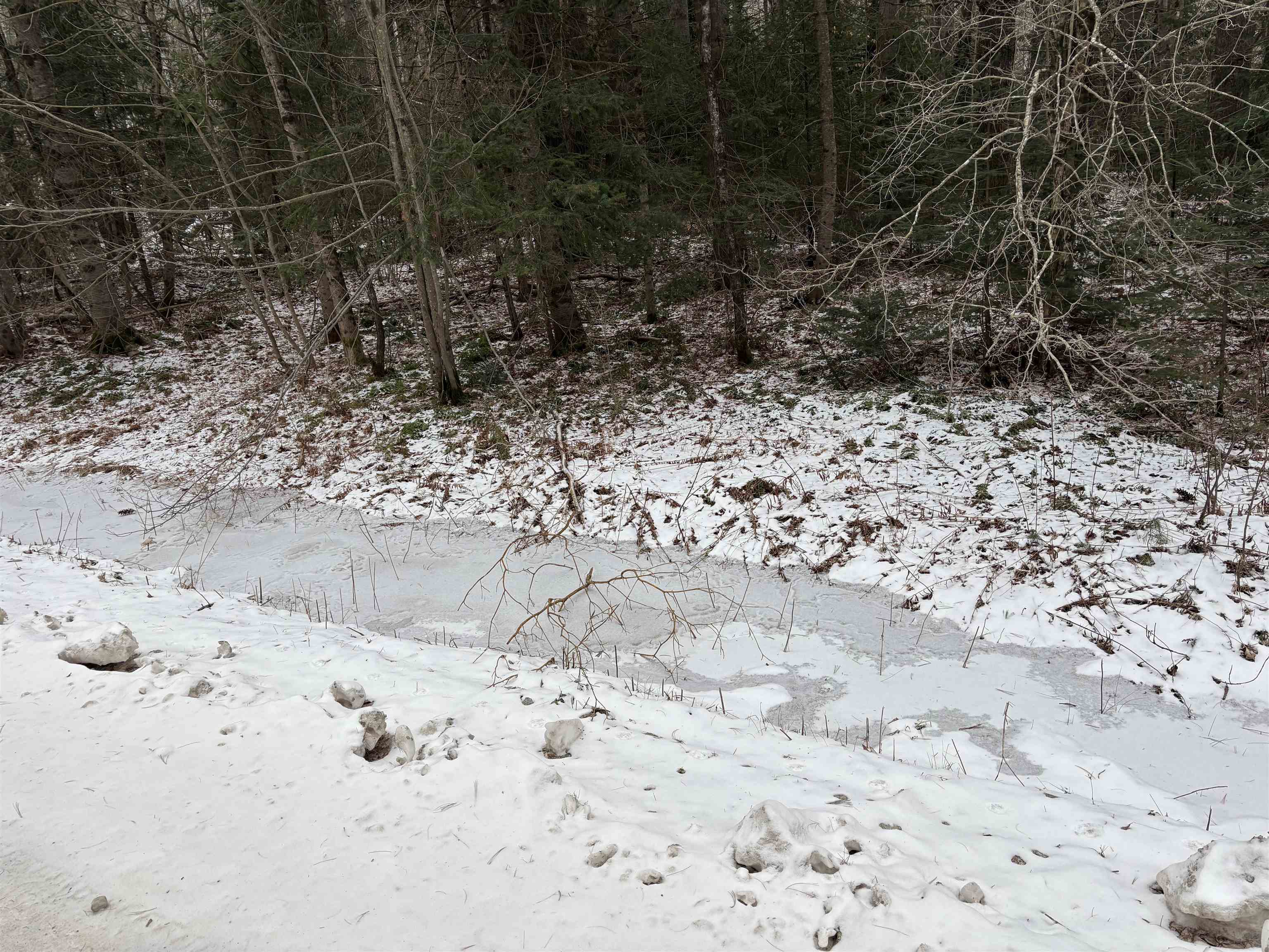 0 Keyes Hollow Road, Unit 1 Lempster, NH 03605 - Photo 8 of 14